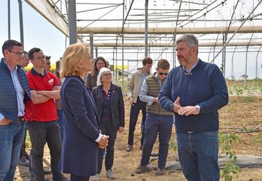 Vulaines-lès-Provins, vendredi 17 avril. Brice De Bisschop termine la visite de son exploitation par les serres, une diversification datant de 2022.