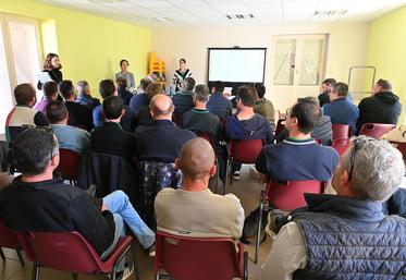 Bougligny (Seine-et-Marne), jeudi 23 avril. La chambre d'Agriculture et GRDF ont restitué une enquête menée sur les Cultures intermédiaires à vocation énergétique.