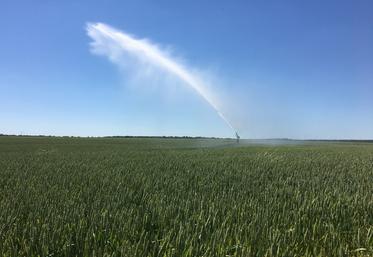 Sécheresse précoce, pluie tardive : l’eau reste au cœur des enjeux agricoles dans le Loiret.