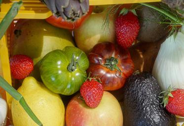 De la production à la distribution, la filière fruits et légumes cherche à mieux valoriser ses produits sans saturer le consommateur d’informations en rayon.