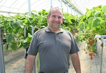 Thomas Piquet, producteur de fraises et membre du bureau du Cadran de Sologne, revient sur la saison des fraises compliquée mais avec des enseignements intéressants.