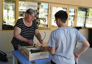 Jeudi 21 mai, à Veuzain-sur-Loire. Lors de l'opération De la terre à l'assiette organisée par le conseil départemental au collège, certains élèves ont découvert les asperges vertes.