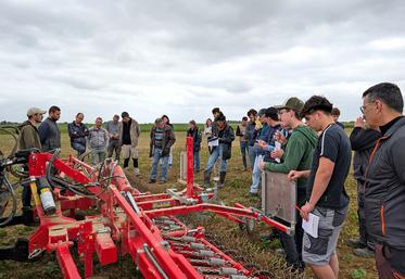 Le 20 mai, à Authon (Loir-et-Cher). Lors d’une session démonstration, agriculteurs et étudiants ont observé l’efficacité comparée de la roto-étrille et de la bineuse sur le désherbage du tournesol.