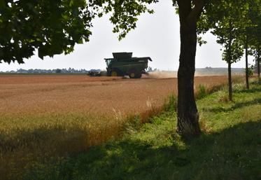 Lundi 22 juin, à Étampes (Essonne). Le lancement de la moisson 2026 est perturbé par une période de canicule.