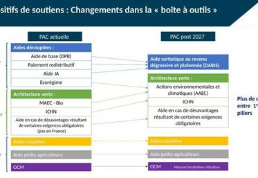 Schéma comparatif de la « boîte à outils » de la Pac actuelle et de celle post-2027.