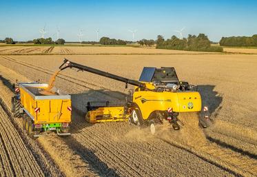 La moissonneuse-batteuse conventionnelle à six secoueurs New Holland CX8.90 peut atteler une barre de coupe de 12,5 m de large.