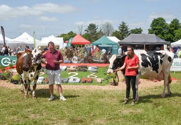 Les concours ont livré leur verdict. Les présentateurs ont été intervertis, mais c'est bien Nébuleuse du Gaec de l'Épinay (à d.) qui remporte le titre de grande championne et Saturne de l'EARL Guéret (à g.), celui de championne de la race normande.
