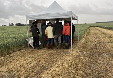 Mardi 2 juin, à Richebourg (Yvelines). Malgré la pluie, les agriculteurs sont venus assister à la plateforme ouest de la chambre d'Agriculture Île-de-France.