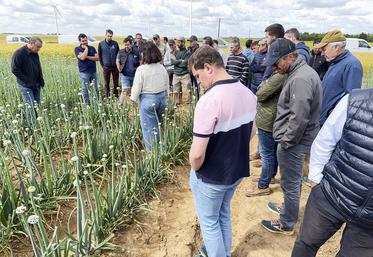 Le 9 juin, à Gaubert (Eure-et-Loir). Une trentaine d'agriculteurs a participé à la matinée diversification semences organisée par Semae.