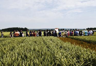 Mardi 16 juin, à Vallangoujard (Val-d'Oise). La plateforme de la Chambre a réuni agriculteurs et élus locaux.