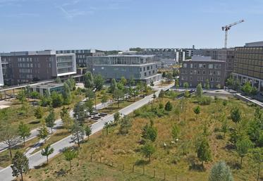 Le campus AgroParisTech de Palaiseau (Essonne) accueillera 30 % d'étudiants en plus d'ici 2030.