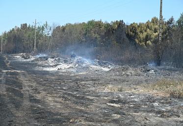 Le sud du Loir-et-Cher a été touché par de violents incendies mardi 7 juillet, notamment à Châtillon-sur-Cher, Fresnes et Chémery. Les feux ont été maîtrisés dès le lendemain, malgré la présence de quelques foyers résiduels.