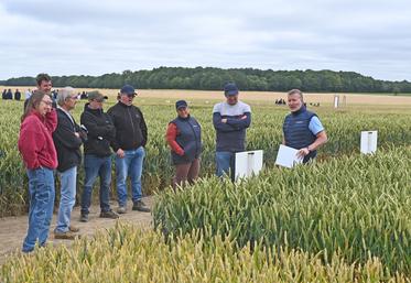 Vendredi 12 juin, à Romilly. Plus d'une centaine d'agriculteurs étaient présents pour les Rencontres agronomiques d'Axéréal.