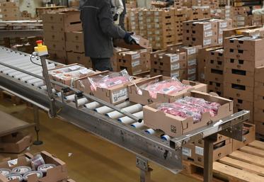 À Savigny-sur-Braye (Loir-et-Cher), l'entreprise agroalimentaire SNV Savigny Volabraye a augmenté récemment sa production et cherche encore de nouveaux salariés en CDI.