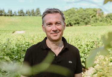Thierry Merlet est le directeur général de l'entreprise Divin, qui propose des vins désalcoolisés.