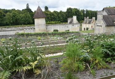 Jeudi 11 juin, à Chaussy (Val-d'Oise). Le Domaine de Villarceaux est désormais doté d'un potager conservatoire.