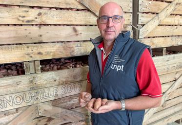 Jeudi 27 août, à Arnouville. Les pommes de terre de Grégoire Jaquemet et des autres producteurs beaucerons sont globalement plus petites que d'habitude.