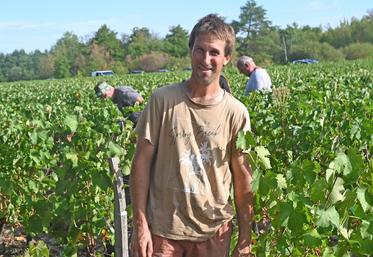 Vincent Tévenot, gérant du vignoble Tévenot, à Candé-sur-Beuvron, doit gérer des vendanges qui sont ultra-précoces cette année. Elles ont démarré le 12 août, du jamais-vu pour lui en dix-sept ans de carrière. 