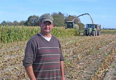 Fabrice Gaussant a cultivé 16 hectares de maïs ensilage cette année. Alors que les récoltes ont lieu avec deux semaines d'avance, il ne s'attend pas à de gros rendements à cause de la sécheresse et des dégâts de gibier. 