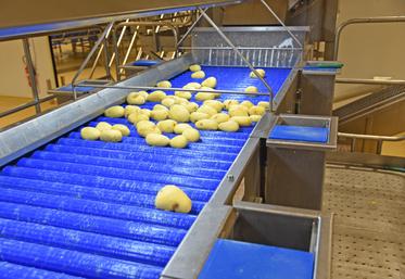 La SPL* Approv’halles publie trois nouveaux marchés de fruits et légumes pour approvisionner les cantines scolaires franciliennes. La chambre d’Agriculture peut accompagner les exploitants intéressés pour se porter candidat.