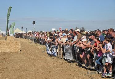 Dimanche 13 septembre, à Villancien. Plus de 7 000 visiteurs se sont régalés des manches de l'indémodable moiss-batt-cross.