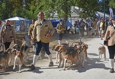 Les veneurs ont traversé les allées avec leurs chiens, offrant au public un aperçu de la vie d’un équipage.