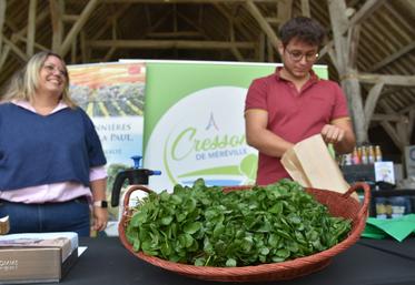 Vendredi 18 septembre, à Méréville (Essonne). Les cressiculteurs ont fêté la 10e édition du Salon des Sites remarquables du goût de leur commune avec joie et fierté.