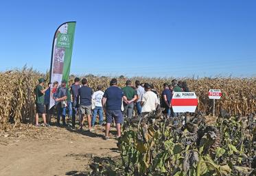 Vendredi 4 septembre, à Villemardy. Lors d'une plateforme organisée pour ses 100 ans, Pioneer a parlé des NGT aux agriculteurs présents.