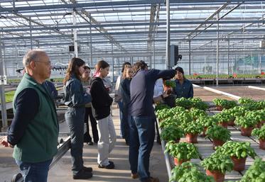 Saint-Nom-la-Bretèche (Yvelines), mardi 22 septembre. Les élèves du Campus Versailles ont visité la Ferme horticole Théart, la première des nombreuses sorties prévues dans des exploitations agricoles.