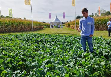 Jeudi 17 septembre, à Corbeilles-en-Gâtinais. Près de 600 agriculteurs, partenaires et collaborateurs se sont retrouvés pour les 10 ans de Soufflet Seeds autour de ses essais.