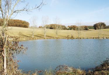 Une bonne gestion de l’eau consiste à stocker et drainer l’hiver pour pouvoir irriguer l’été. De plus, les retenues d’eau attirent faune et flore.