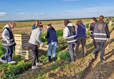 Mardi 6 octobre, à Férolles. Onze élèves de terminale Stav de la MFR ont mis la main à la terre pour récupérer près de 100 kg de carottes destinées à des étudiants en situation de précarité.