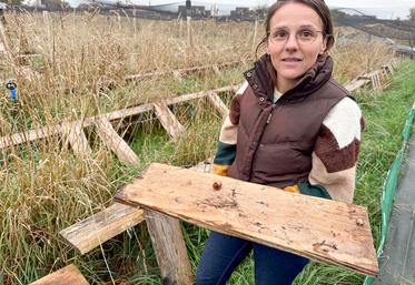 Mardi 20 octobre, à Ouerrais. L'éleveuse Marion Gauthier a perdu la totalité de ses escargots à cause des canicules de cet été et s'interroge sur le redémarrage de l'activité.
