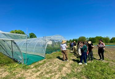 La chambre d'Agriculture Île-de-France et le conseil régional ont co-organisé un webinaire sur l'agriculture urbaine.