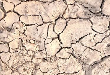 Sol craquelé par la sécheresse en Eure-et-Loir.