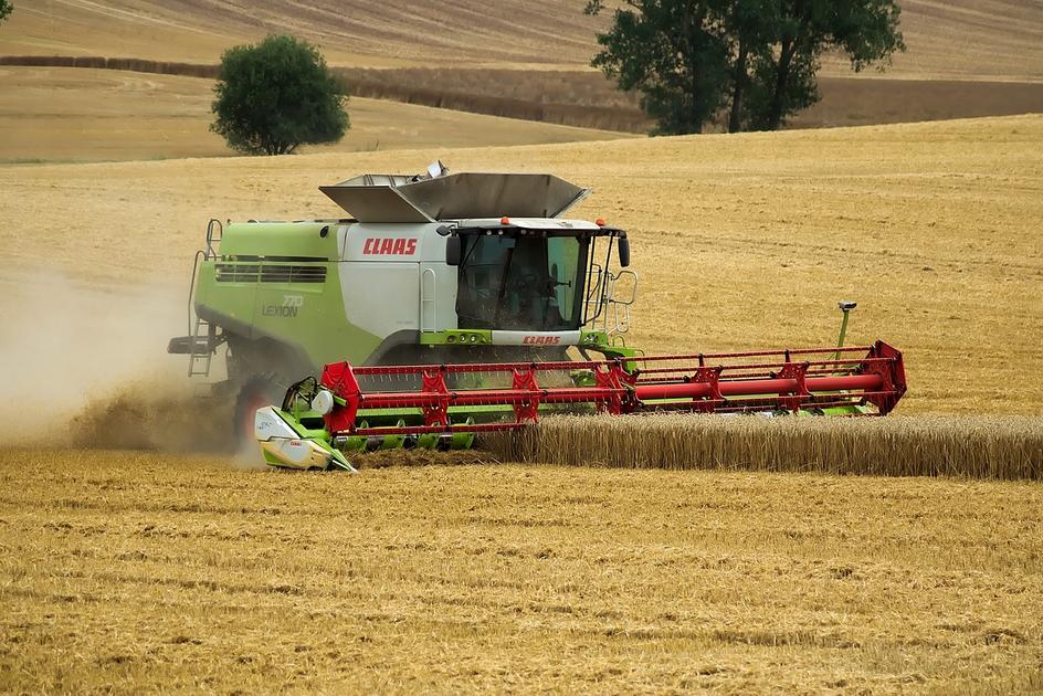 Moisson 2024 : la récolte de blé tendre attendue sous les 30 Mt pour la ...