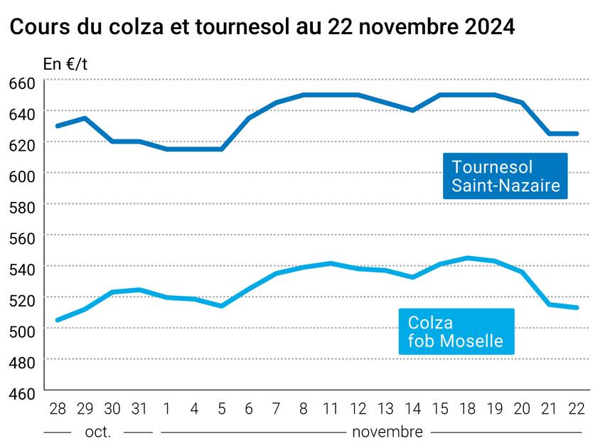 COTidienne | Oilseeds – Fall in prices of vegetable oils and European rapeseed