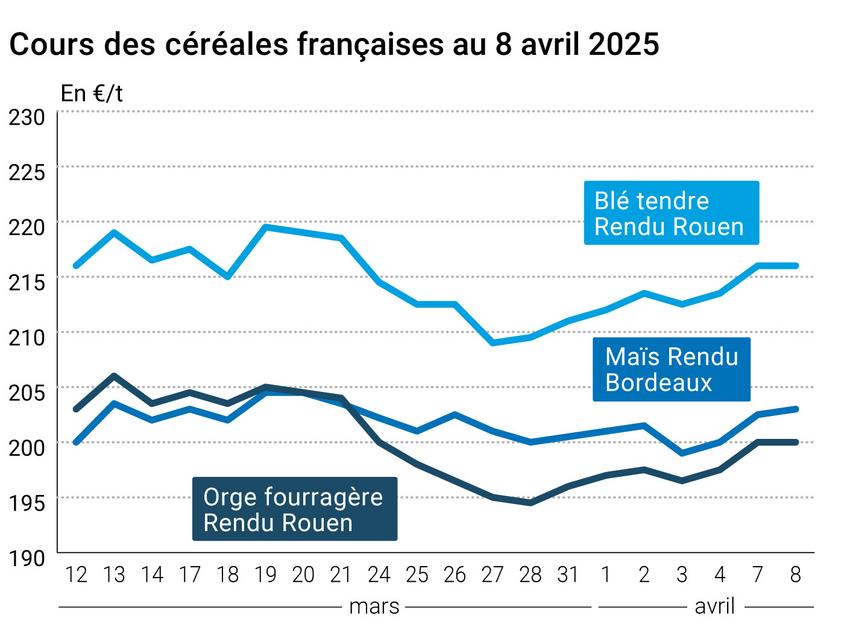 Cotidian: April 9, 2025 Cereal Market Update - News Directory 3