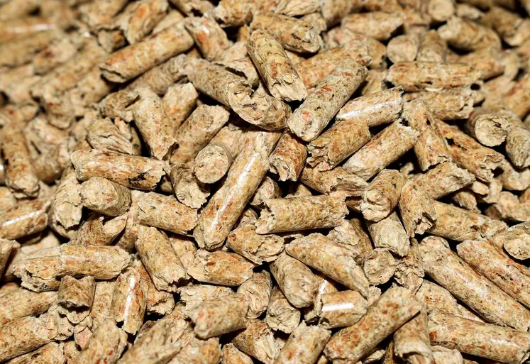 Pellets d'aliment composé