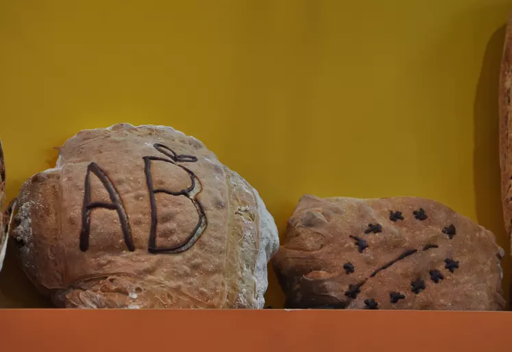 Boulangerie transformation des céréales, farine de froment, pain avec logo AB