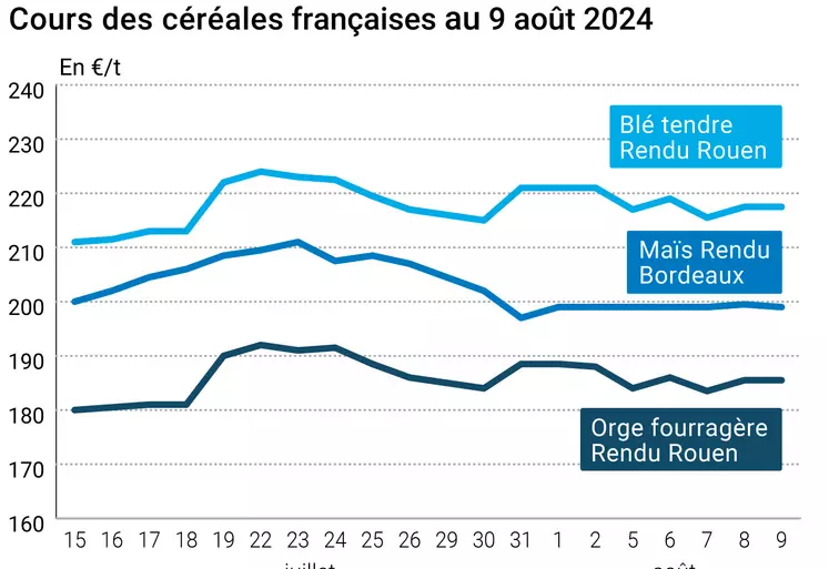 prix du blé tendre rendu Rouen, de l'orge fourragère rendu Rouen et du maïs rendu Bordeaux en juillet août 2024