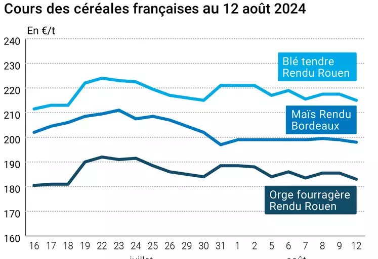 prix du blé tendre rendu Rouen, de l'orge fourragère rendu Rouen et du maïs rendu Bordeaux en juillet août 2024