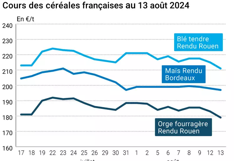 prix du blé tendre rendu Rouen, de l'orge fourragère rendu Rouen et du maïs rendu Bordeaux en juillet août 2024