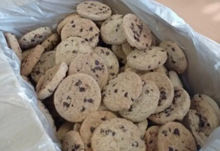 Biscuits bio noix-chocolat, fabriqués avec du blé biscuitier Gwastell.