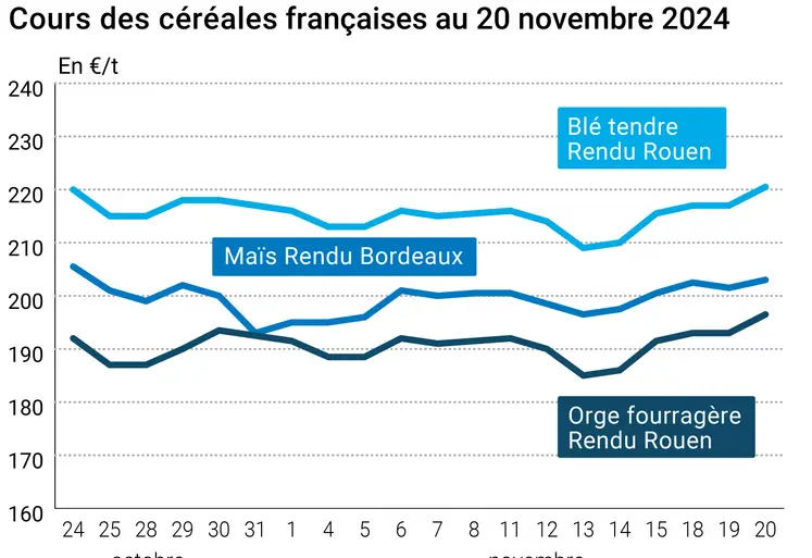 Graphique cours céréales françaises au 20 novembre 2024