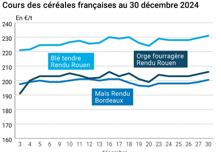 Graphique cours oléagineux France au 30 décembre 2024