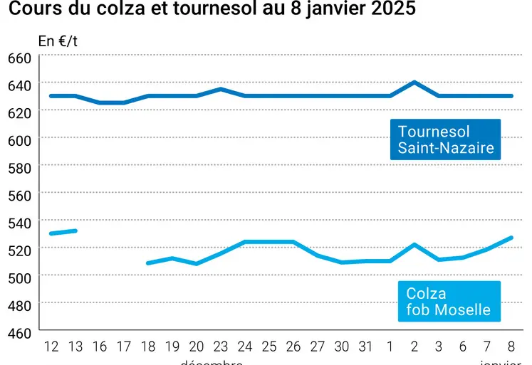 Graphique cours oléagineux français au 8 janvier 2025