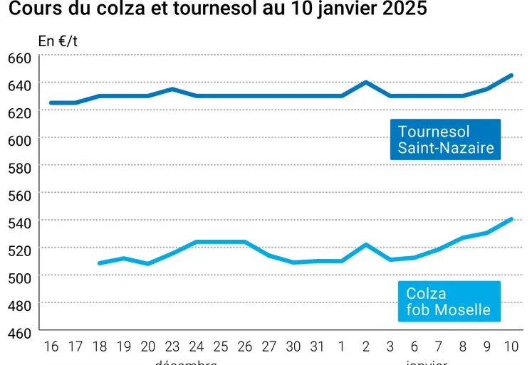 Graphique cours oléagineux français au 10 janvier 2025