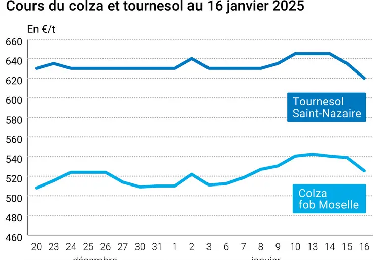 Graphique prix colza tournesol France du 16 janvier 2025