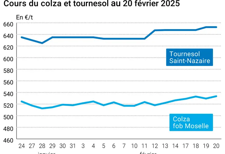 Graphique prix colza tournesol France du 20 février 2025